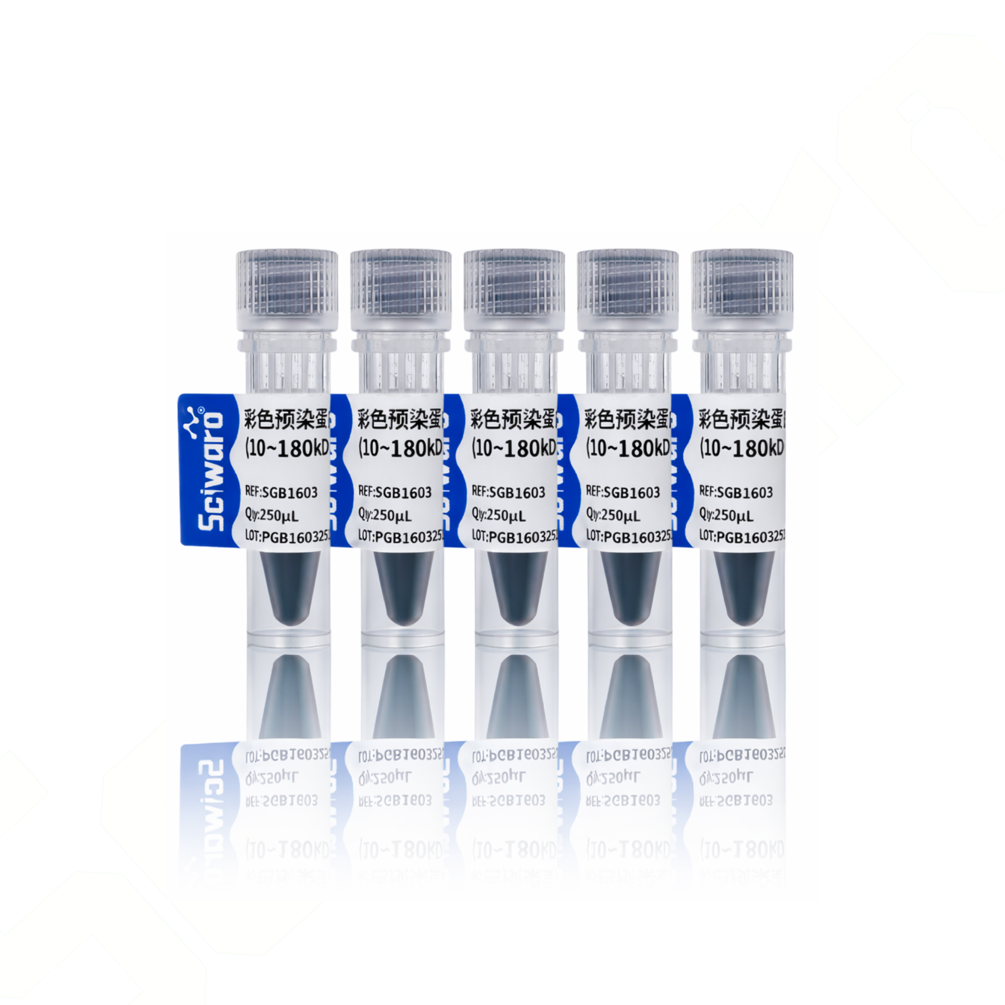 Sciwaro®彩色预染蛋白Marker（10~180 kDa） - 图片2