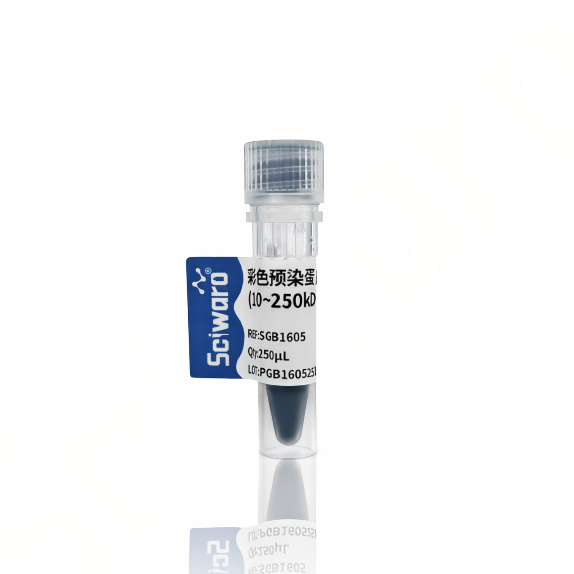 Sciwaro®彩色预染蛋白Marker（10~250 kDa） - 图片1