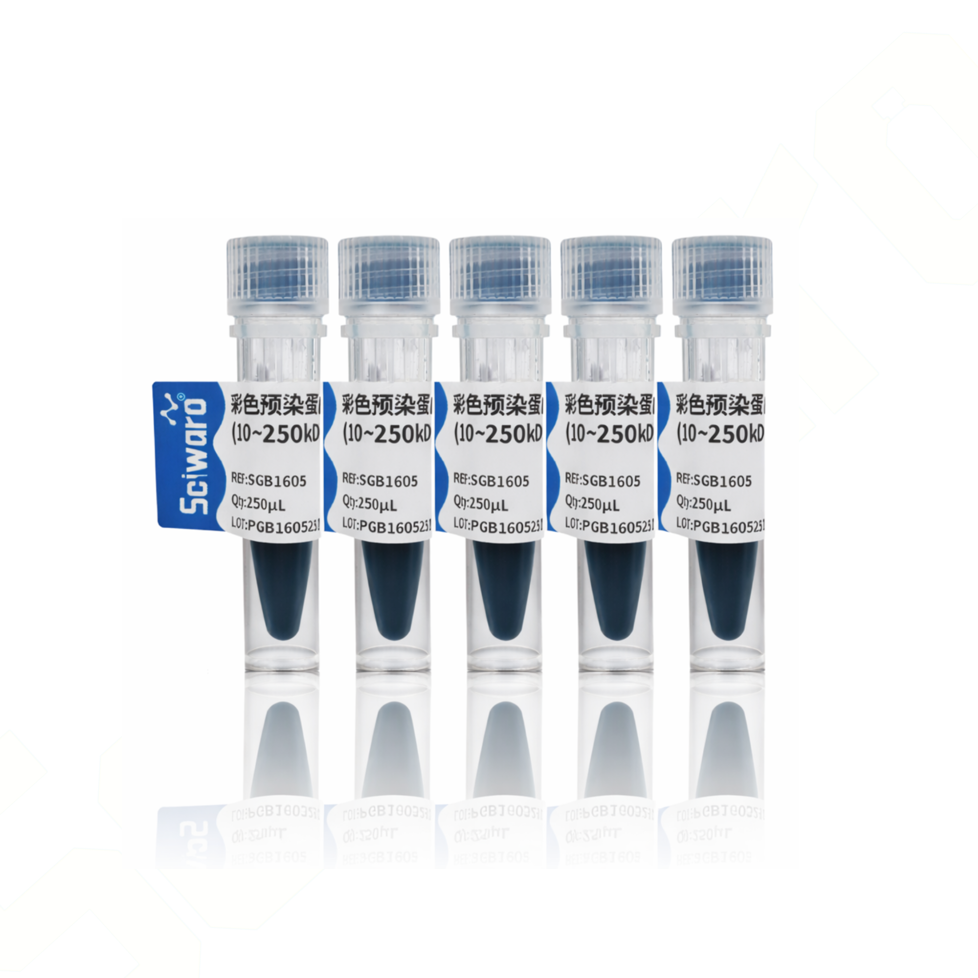 Sciwaro®彩色预染蛋白Marker（10~250 kDa） - 图片2