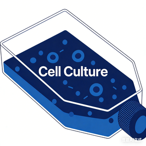 细胞培养