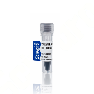 Sciwaro®彩色预染蛋白Marker（10~180 kDa）