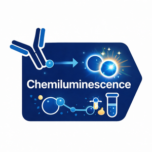 化学发光成像