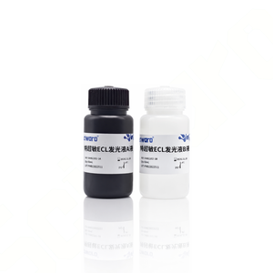 Sciwaro®特超敏 ECL发光液（低飞克级）