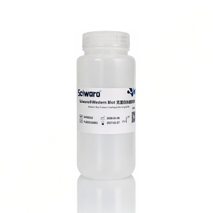 Sciwaro®Western Blot 无蛋白快速封闭液